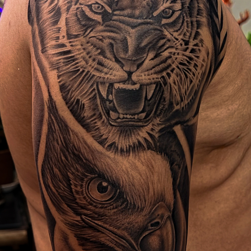 animal4